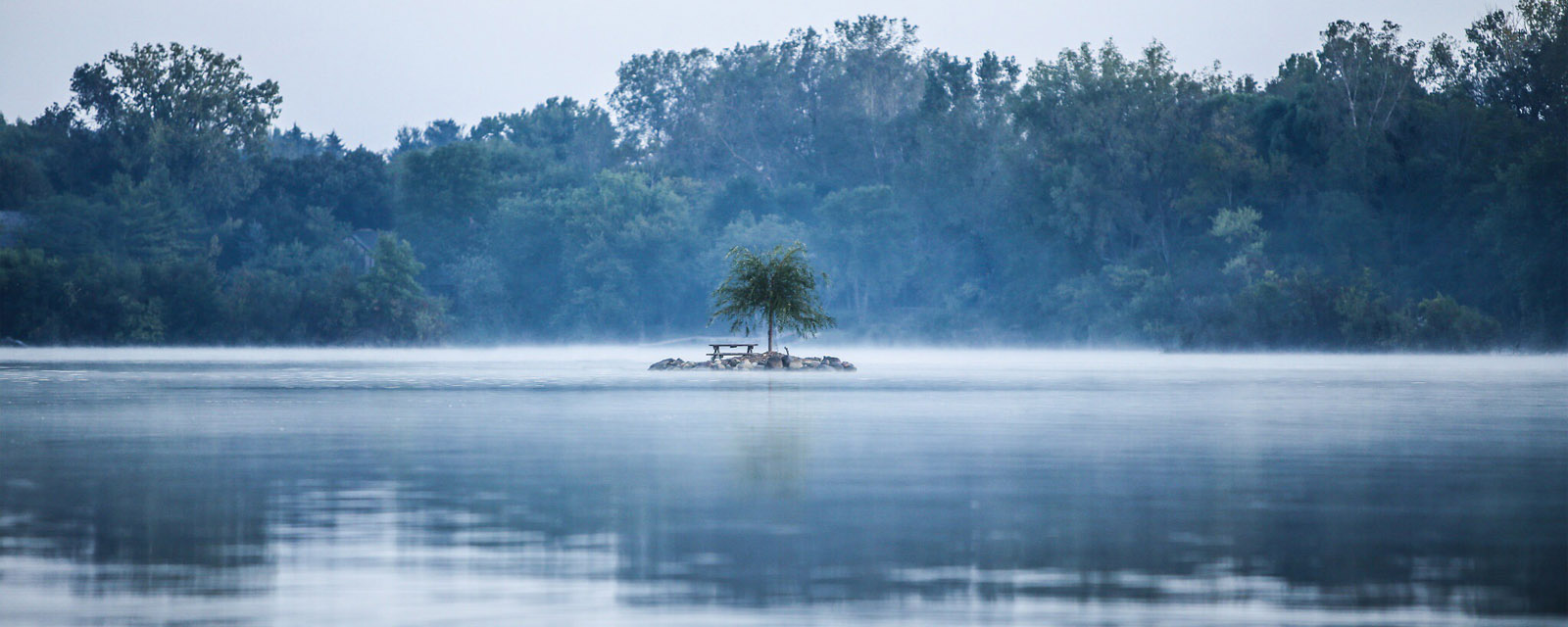 License: https://www.pexels.com/photo/forest-lake-trees-jungle-46107/